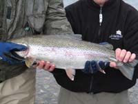 Description: Description: C:\Users\Owner\Documents\Alaska fly Fishing Web Site 2007\images\Tom_and_Grant_hold_fish.jpg